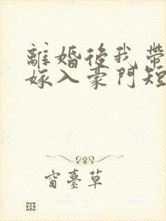 离婚后我带着崽嫁入豪门短剧
