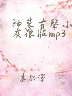 神墓有声小说大灰狼版mp3