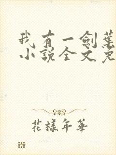 我有一剑叶观 小说全文免费阅读