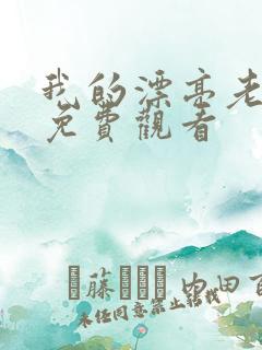 我的漂亮老板娘免费观看