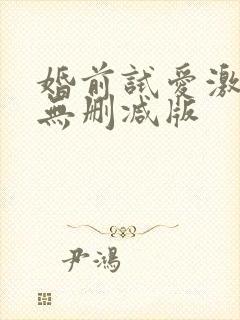 婚前试爱激情戏无删减版