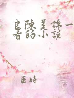 良陈美锦一样好看的小说