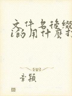文件名后缀是ai的用什么打开