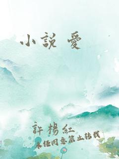 小说 爱