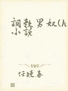 调教男奴(h)小说