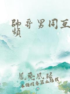 帅哥男同互操视频