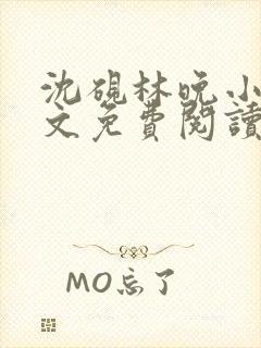 沈砚林晚小说全文免费阅读