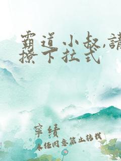 霸道小叔,请轻撩下拉式