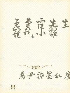 免费霍先生乖乖宠我小说
