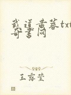 武道黄蓉txt奇书网
