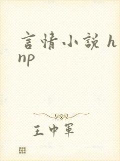 言情小说 h np