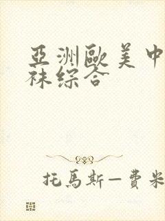 亚洲欧美中文丝袜综合