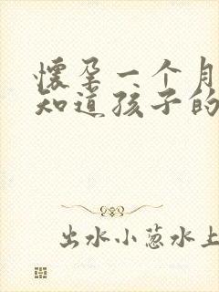怀孕一个月怎么知道孩子的爸爸是谁