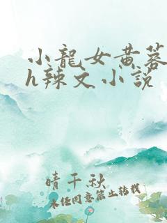 小龙女黄蓉系列h辣文小说