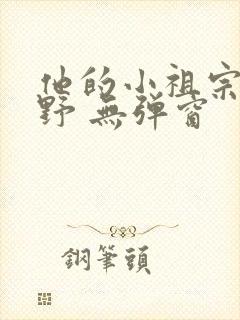 他的小祖宗甜又野 无弹窗
