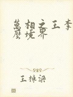 万相之王李洛什么境界