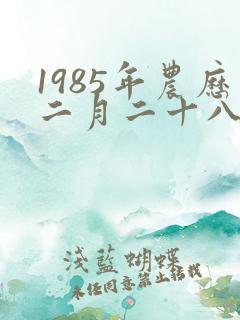 1985年农历二月二十八出生命运