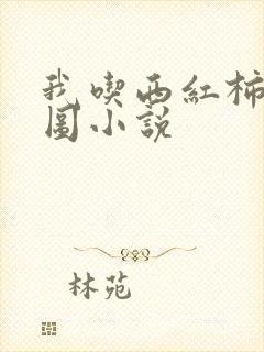 我吃西红柿沧元图小说