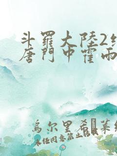 斗罗大陆2绝世唐门中霍雨浩