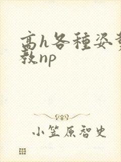高h各种姿势调教np