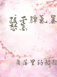 孩子脾气暴躁易怒怎