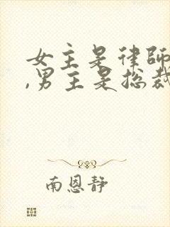 女主是律师助理,男主是总裁