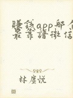赚钱app哪个最靠谱微信