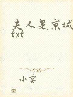 夫人是京城一霸txt