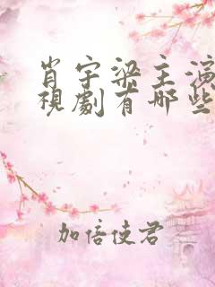 肖宇梁主演的电视剧有哪些