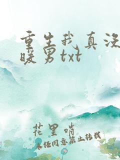 重生我真没想当暖男txt