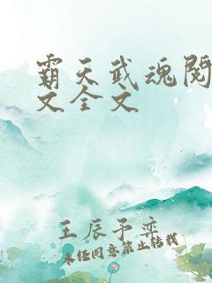 霸天武魂阅读全文全文