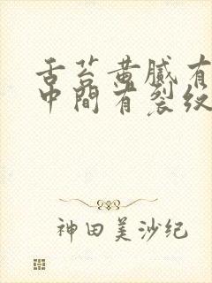 舌苔黄腻有齿痕中间有裂纹