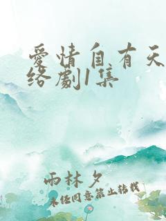 爱情自有天意网络剧1集