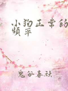 小狗正常的呼吸频率