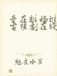 爱在离婚进行时电视剧在线免费观看