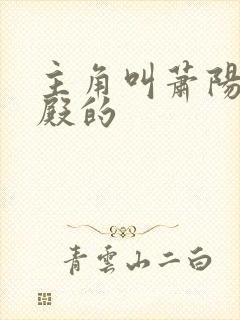 主角叫萧阳龙王殿的