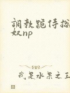 调教跪侍总攻众奴np