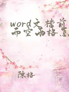 word文档前面空两格怎么弄
