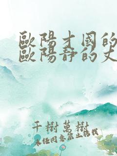 欧阳才国的女儿欧阳静的丈夫是干什