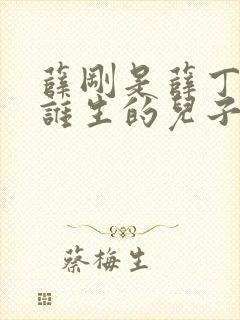 薛刚是薛丁山和谁生的儿子