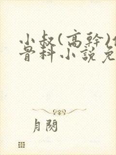 小叔(高干)伪骨科小说免费阅读