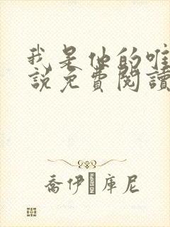 我是他的唯一小说免费阅读