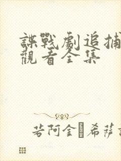 谍战剧追捕免费观看全集