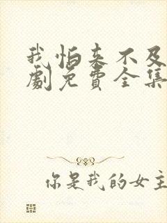 我怕来不及电视剧免费全集