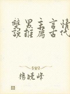 双男主言情的小说推荐古代