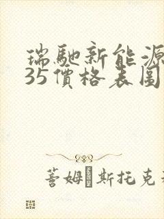 瑞驰新能源ec35价格表图片