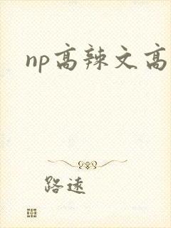 np高辣文高h