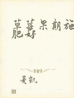 草莓果期施什么肥好