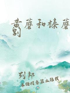 黄蘑和榛蘑的区别