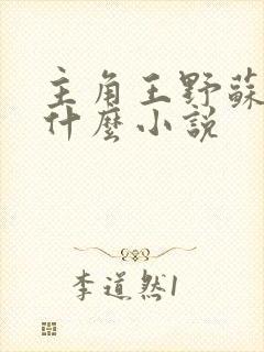 主角王野苏婉卿什么小说